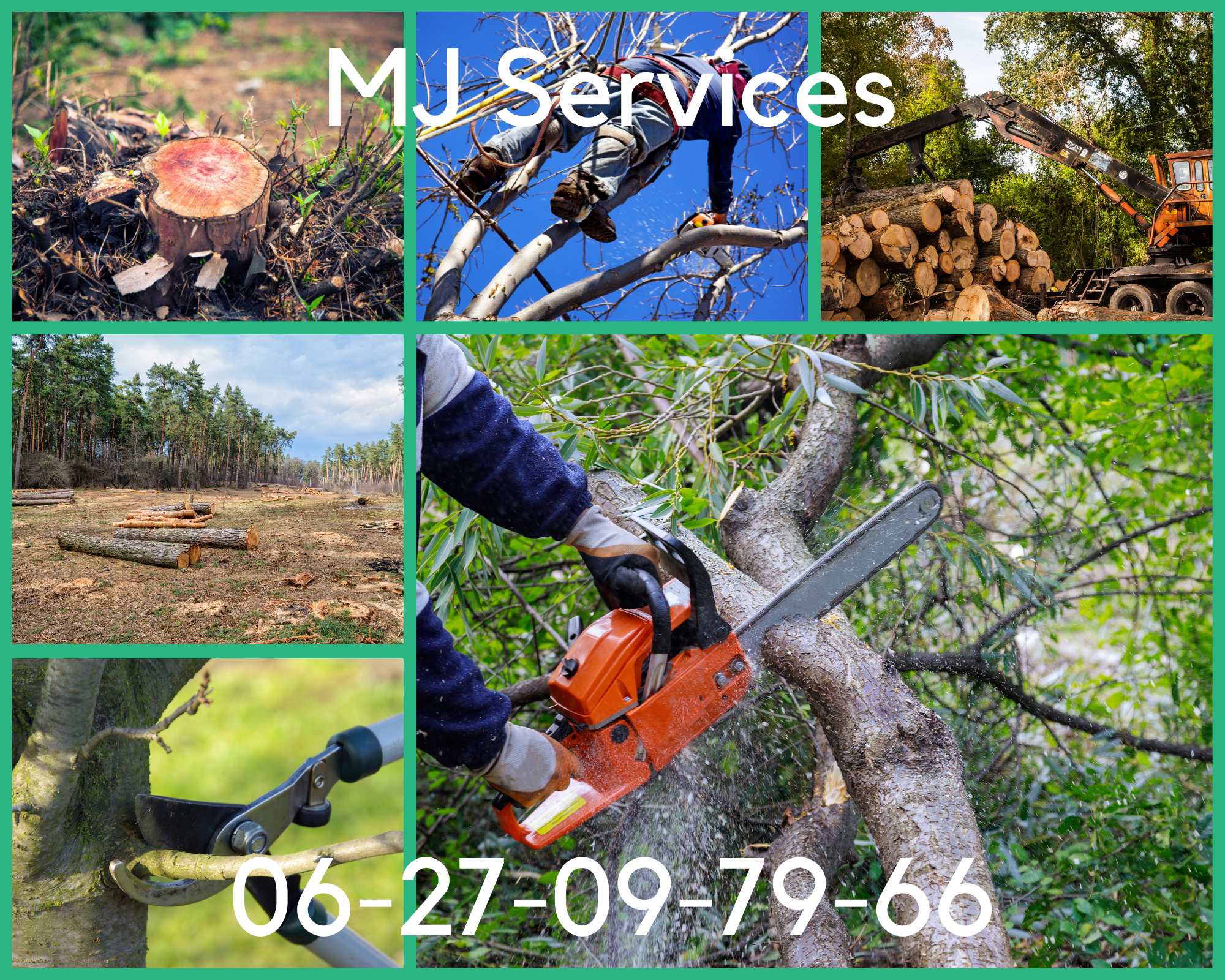 Équipe de MJ Services en train de réaliser un dessouchage d'arbre à Aix-en-Provence.